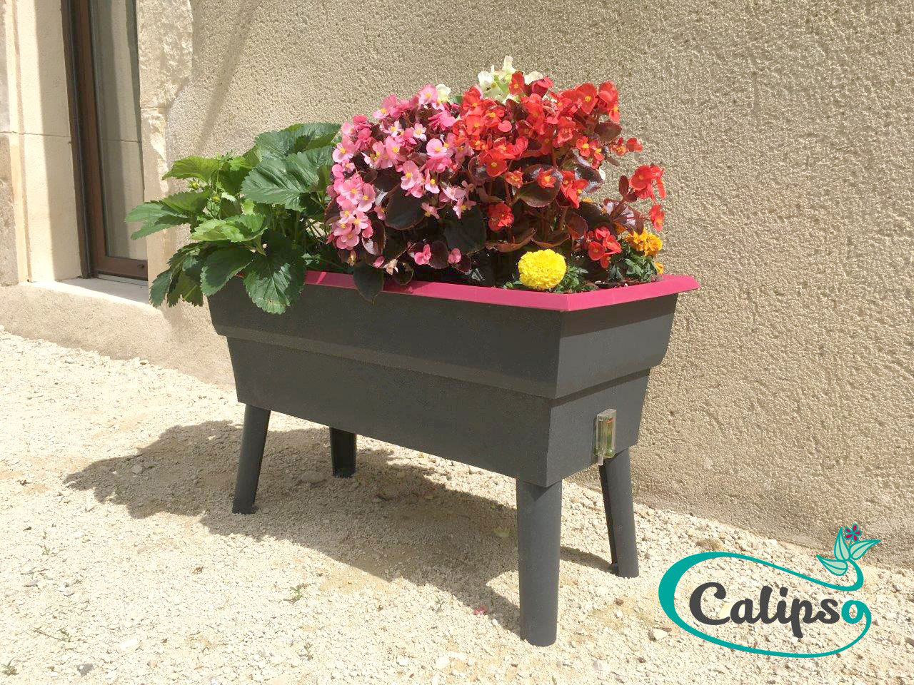 Calipso Mini ziedu un salātu kaste 40 L