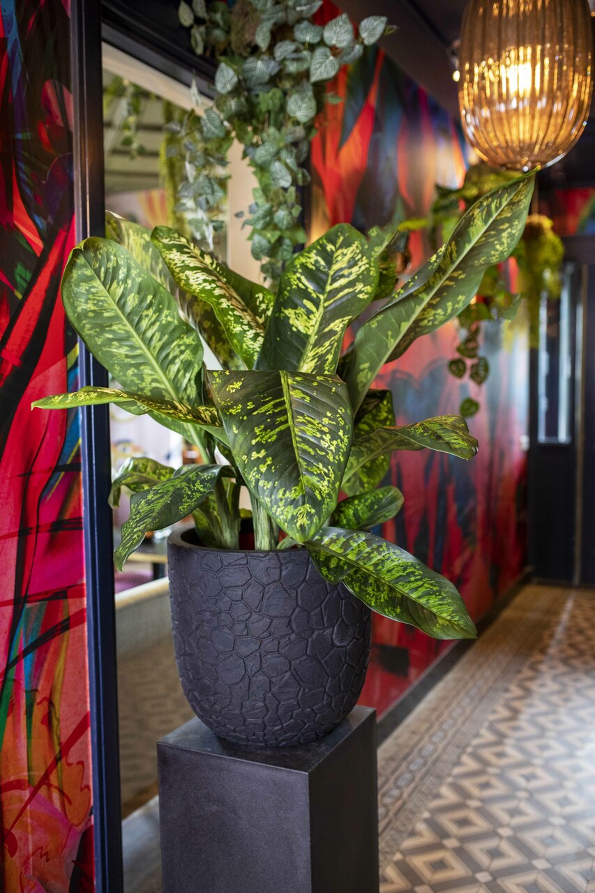 Planter ball Clay NL 35x34 antracīta krāsā