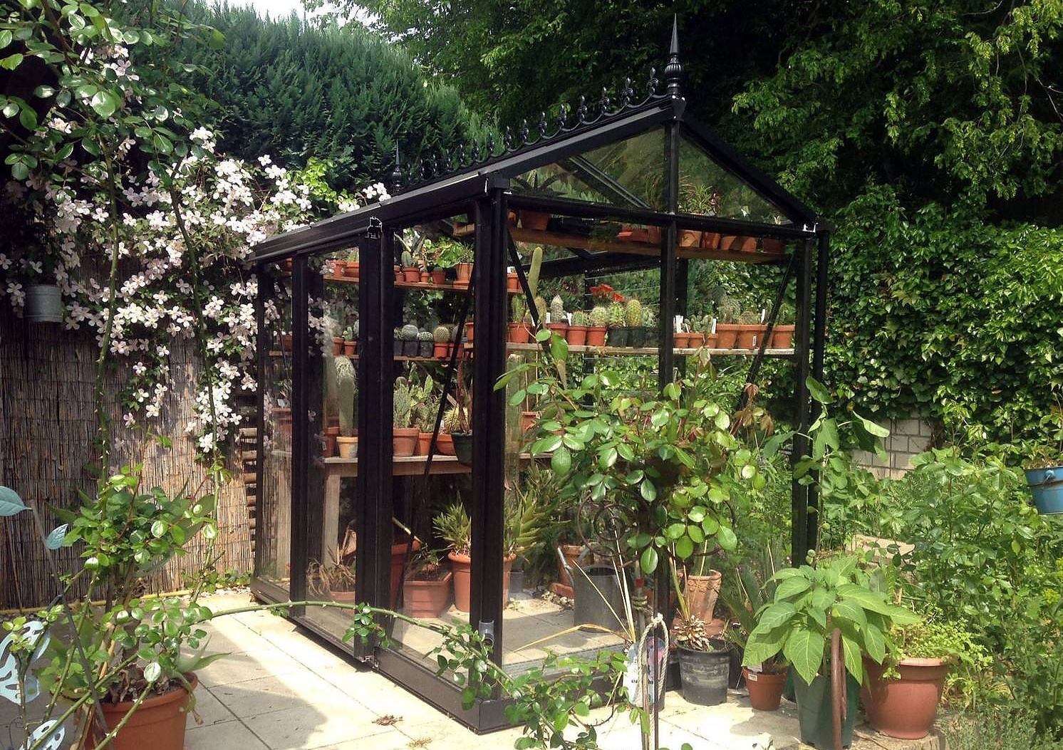 Urban Victorian greenhouse
