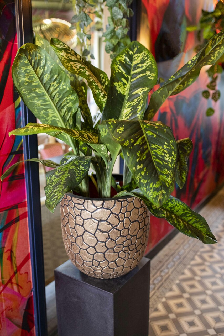 Planter ball Clay NL 35x34 antracīta krāsā