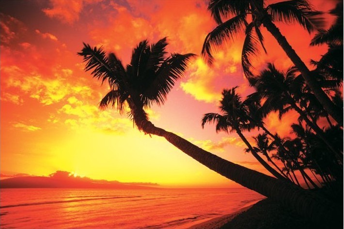inSPAration Hawaiian Sunset spa aromāts 265 ml