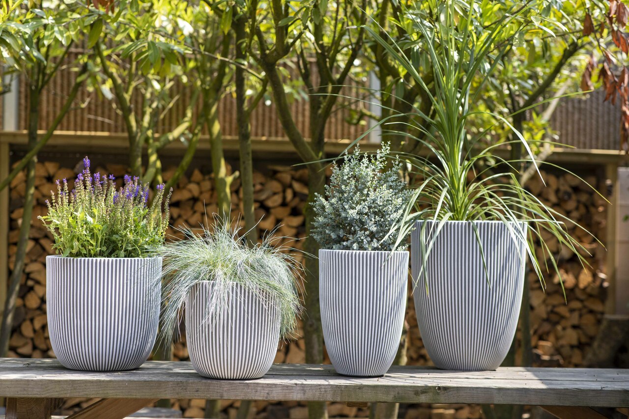 Vase elegant low Groove NL 46x58 melnais zelts