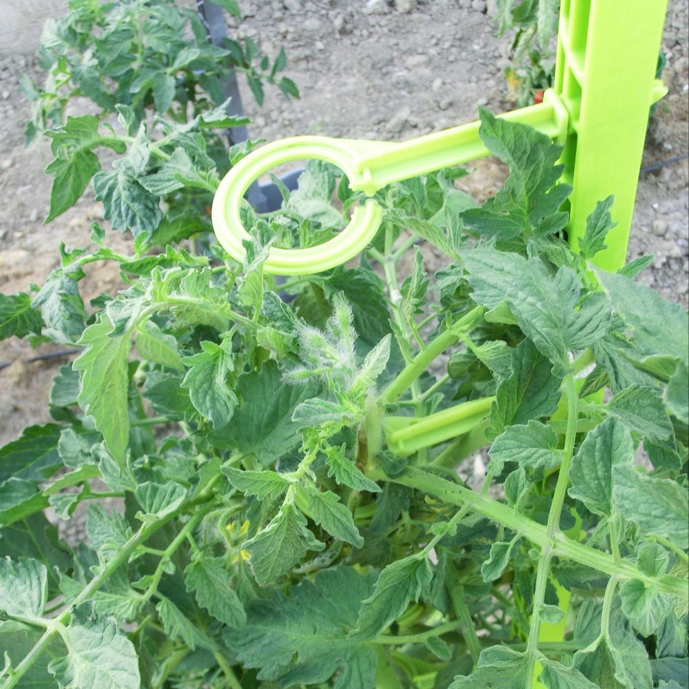 Dārza miets 180 cm " Mikado" tomātu stādu noturēšanai 