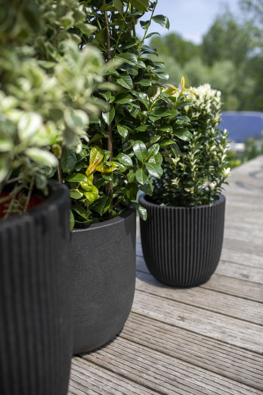 Planter ball Groove NL 35x34 melnais zelts