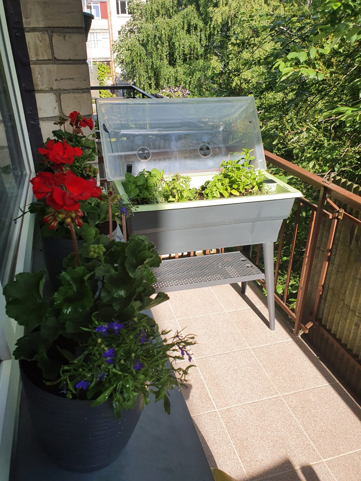 Calipso Combi ziedu, stādu un salātu kaste