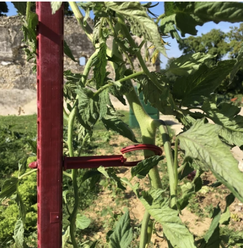 Dārza miets 180 cm " Mikado" tomātu stādu noturēšanai 