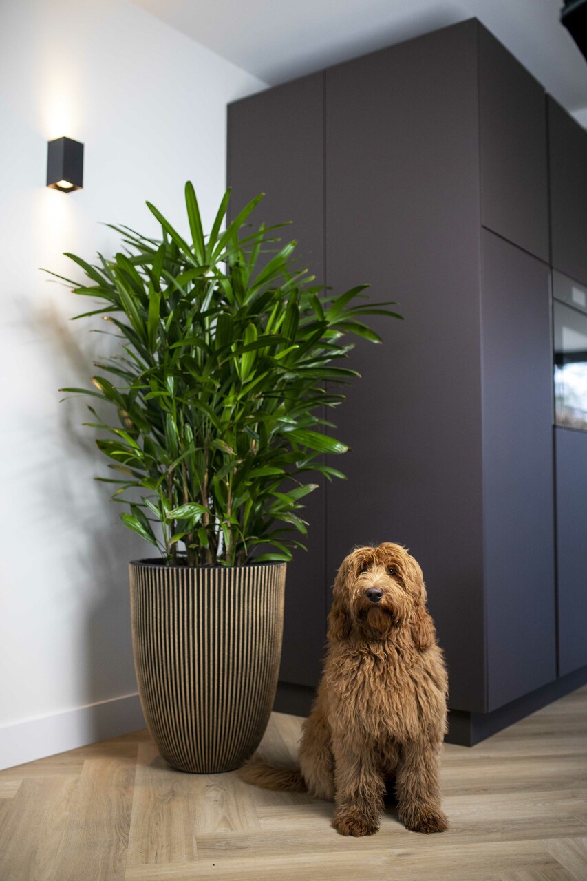 Vase elegant low Groove NL 46x58 melnais zelts